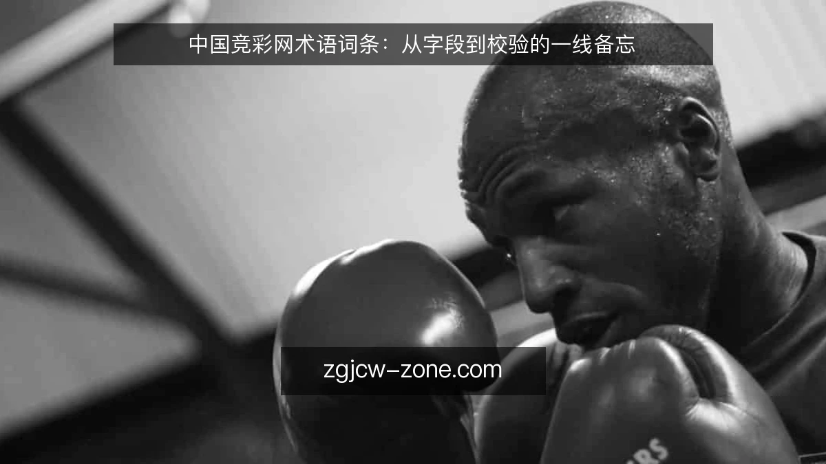 中国竞彩网术语词条：从字段到校验的一线备忘