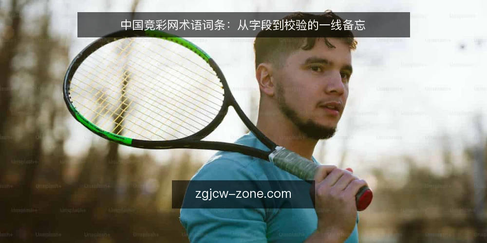 中国竞彩网术语词条:从字段到校验的一线备忘 — 信号:留意页面字段与数据流 配图