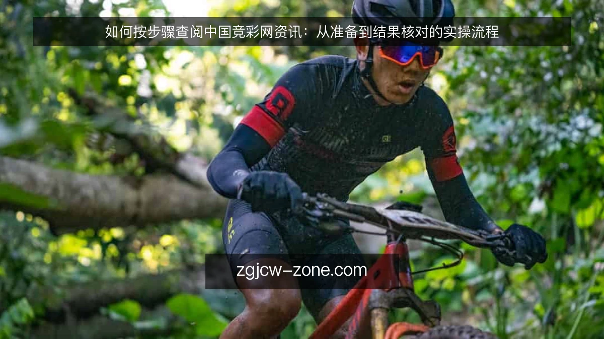 如何按步骤查阅中国竞彩网资讯:从准备到结果核对的实操流程